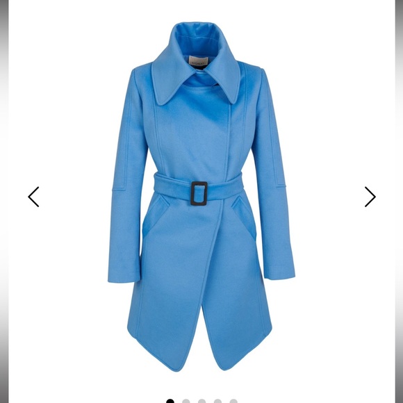 Fur Coat - Picture 2 of 4